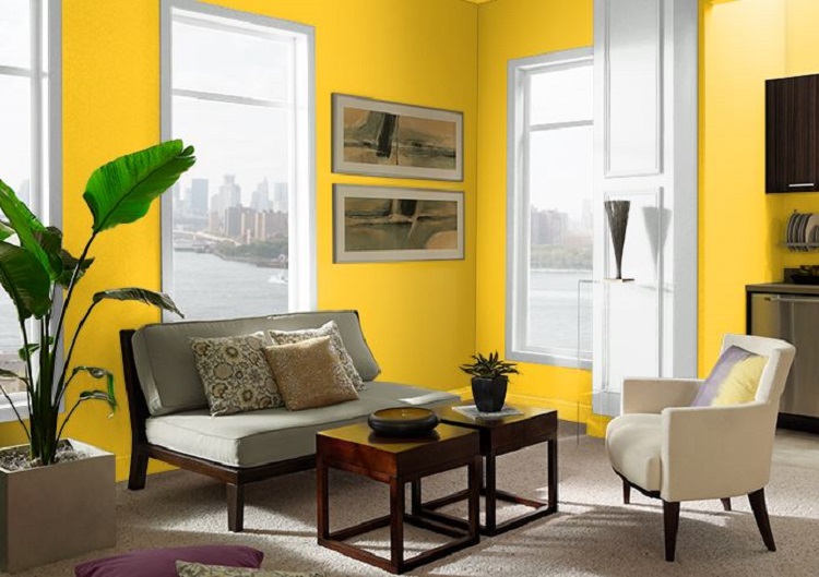 Phòng khách ấm áp với sự kết hợp sofa màu vàng